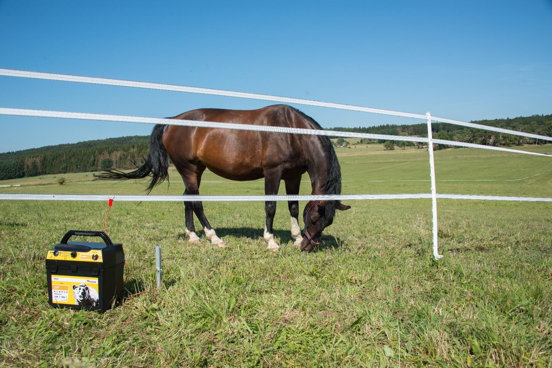 Poste mixte RANGER AN2000 HORIZONT 6/7