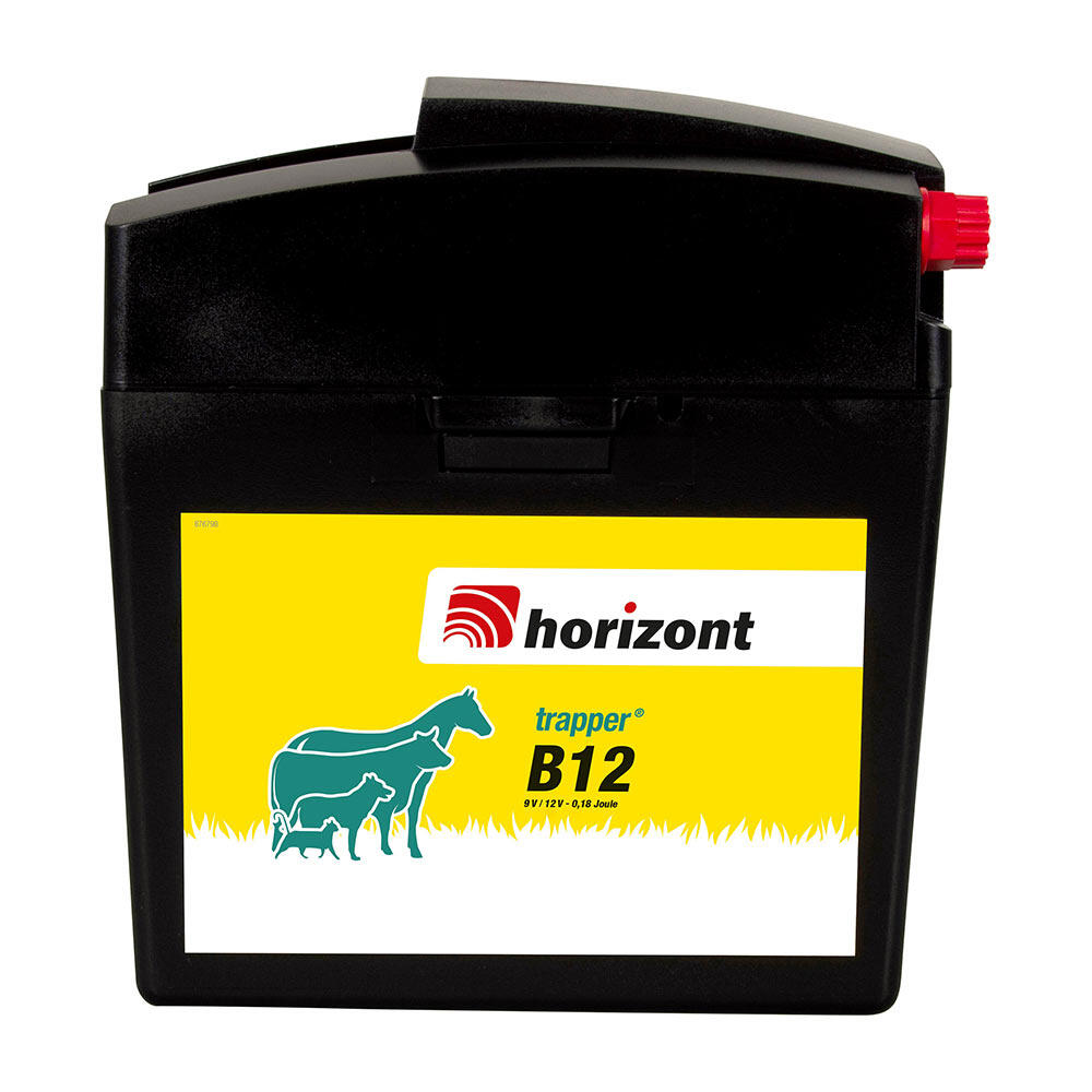 HORIZONT picture