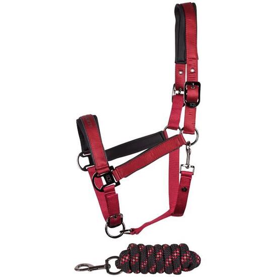 Ensemble licol et longe pour cheval Harry's Horse Satin Eli