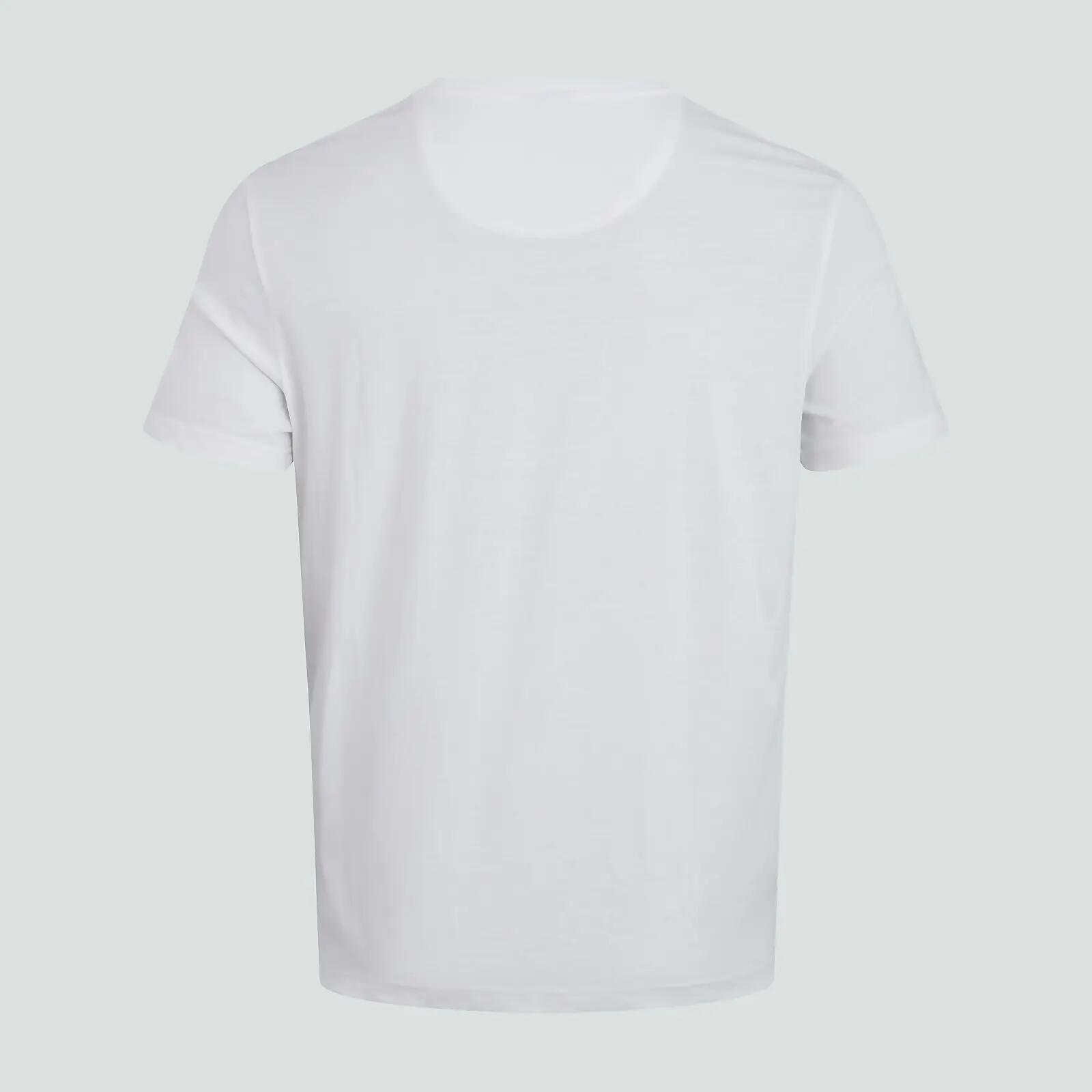 T-Shirt Canterbury CCC Logo 5/7
