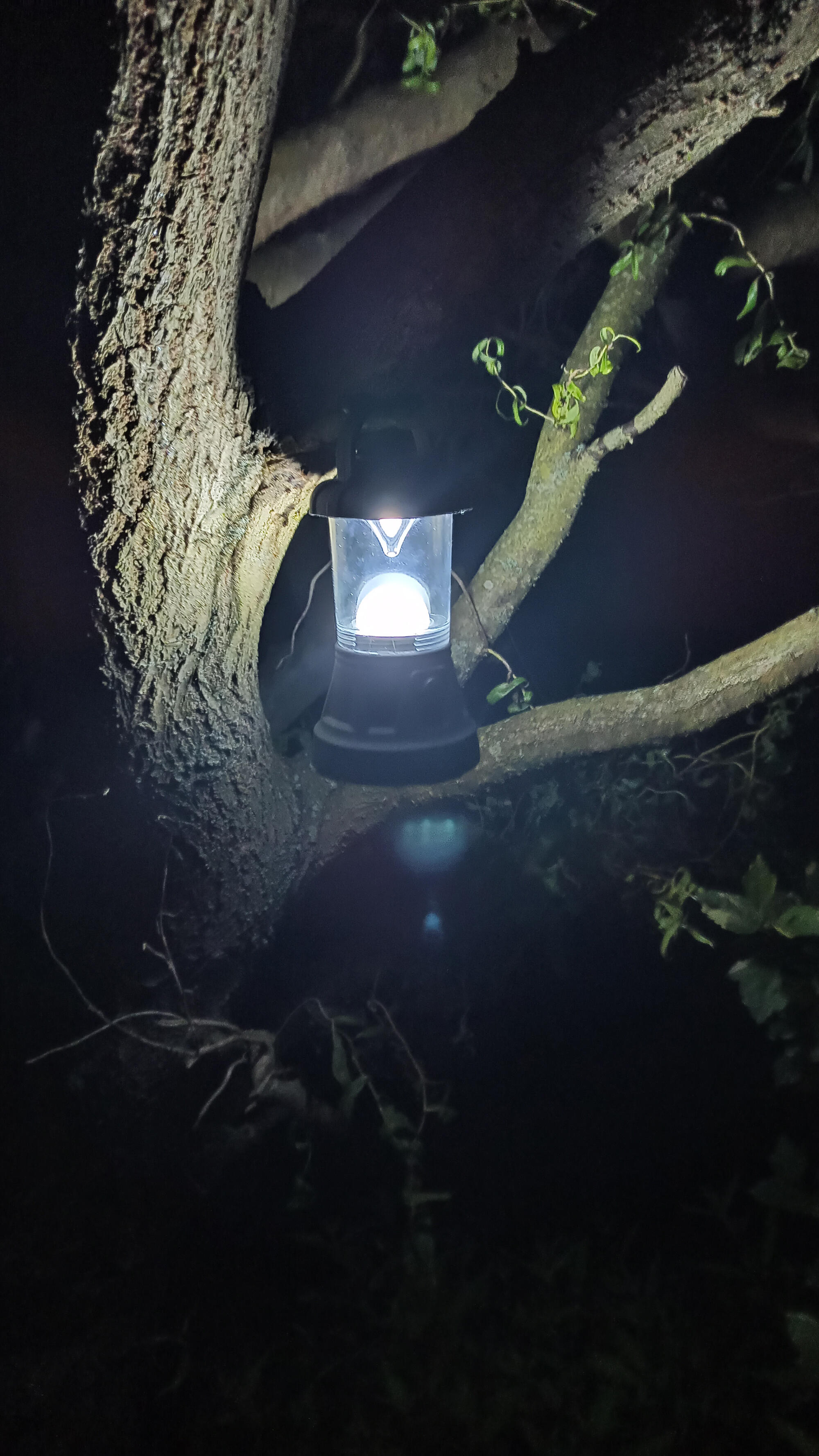 Camping-Taschenlampe 11 LED 3/4