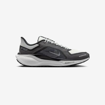 Nike Pegasus 41 GORE-TEX Herren Laufschuh