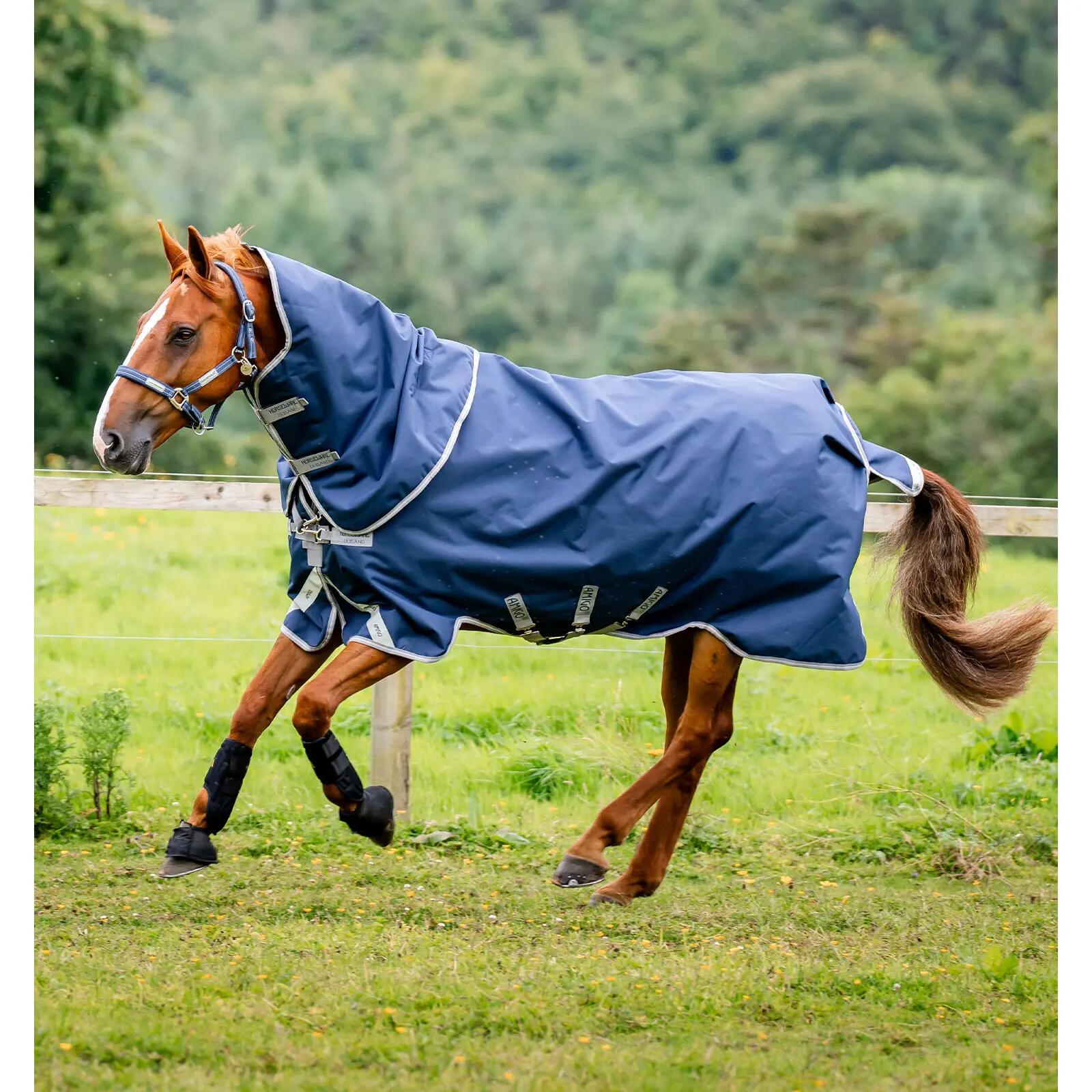 Manta de exterior para caballos con cubrecuello Horseware Amigo 1200D Plus 50g 2/3