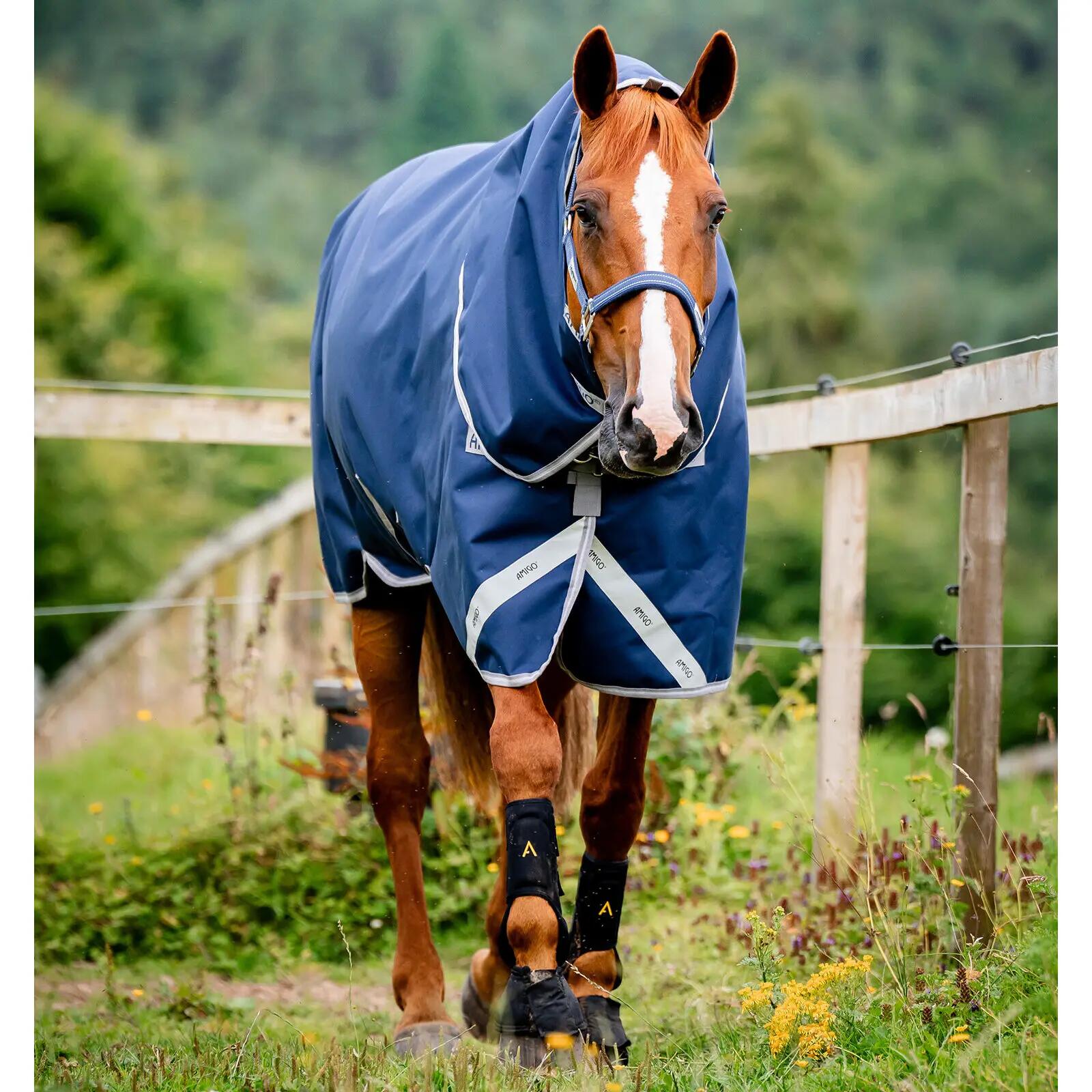 HORSEWARE IRELAND picture