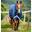 Căptușeală exterioară Horseware Amigo 1200D Plus 50