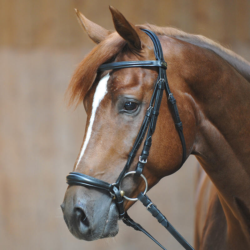 Briglie da equitazione Kavalkade Lina 5/5