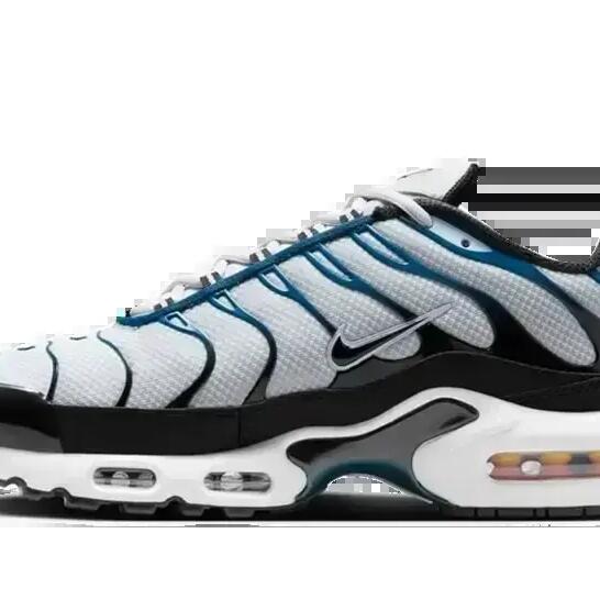 Nike Air Max Plus - Sport walking shoes