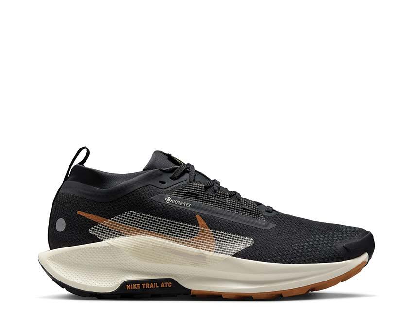 NIKE picture