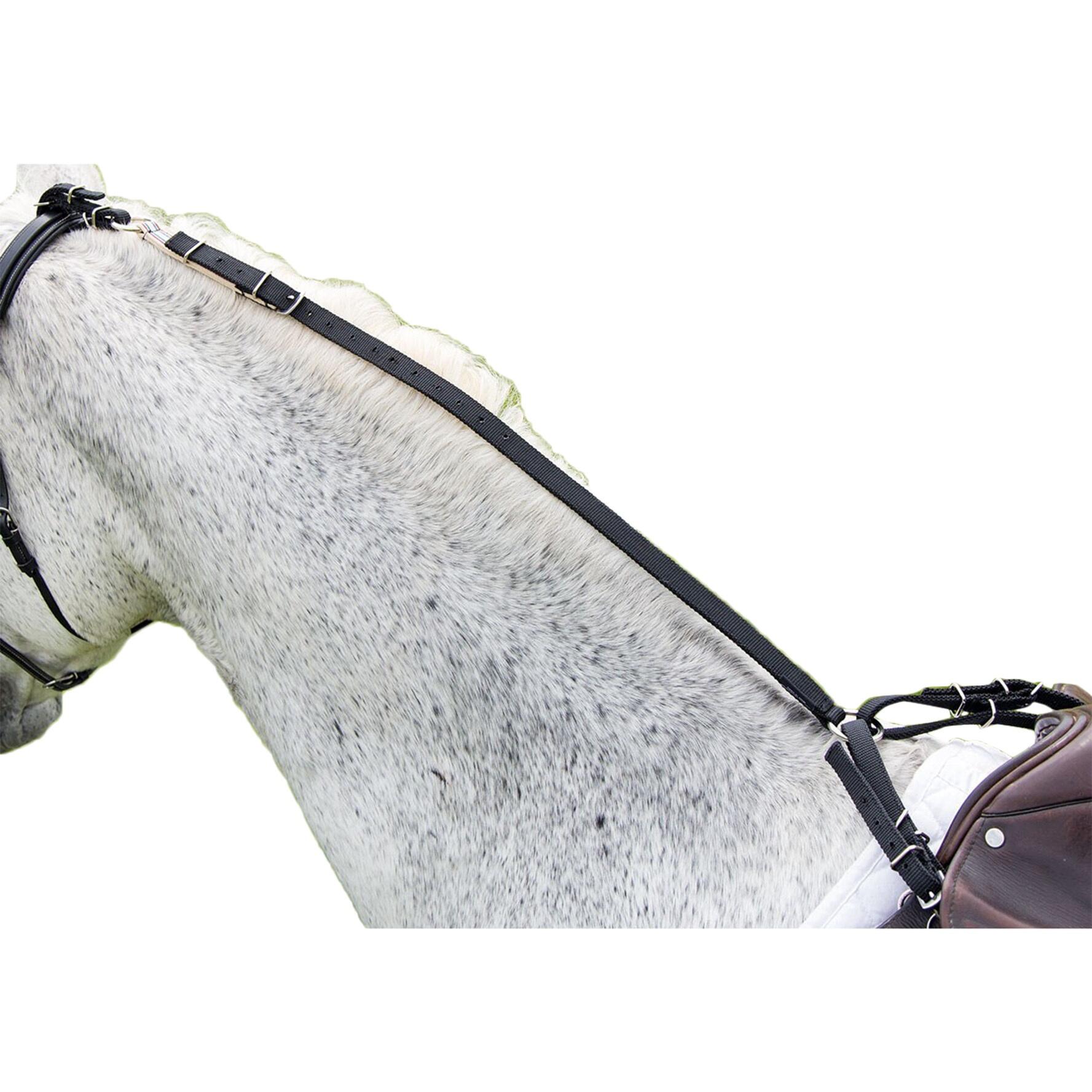 Paperina Redini per Cavallo Nero 3/3