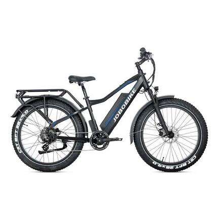Robin Pro vélo électrique adulte, batterie 48V 20Ah