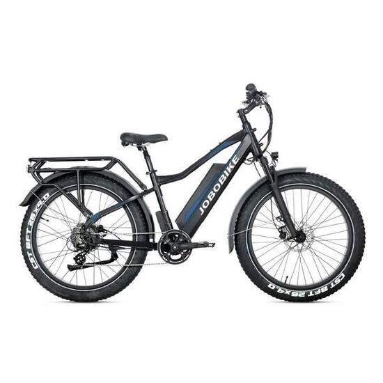 Robin Pro vélo électrique adulte, batterie 48V 20Ah