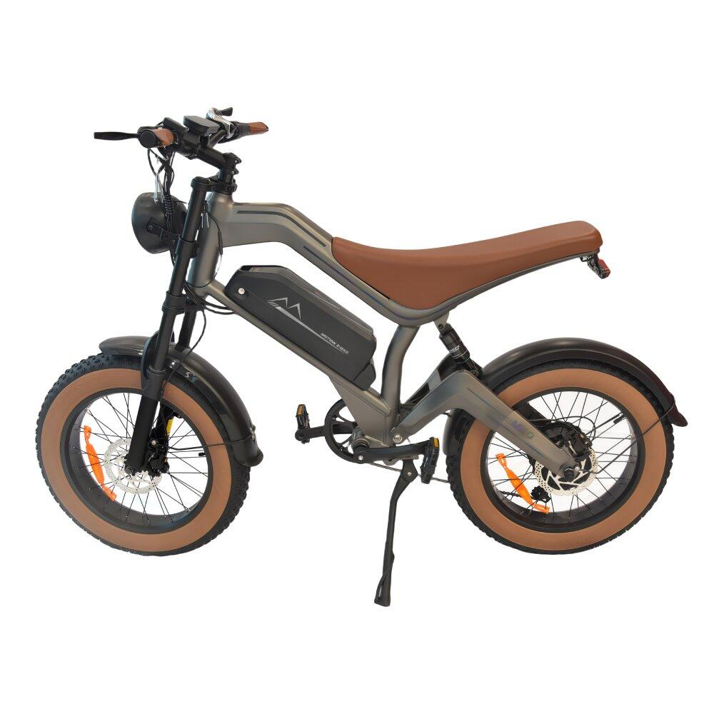 M20 Elektrofahrrad für Erwachsene 48V18.2AH Akku 20 Zoll Dickreifen 2/7