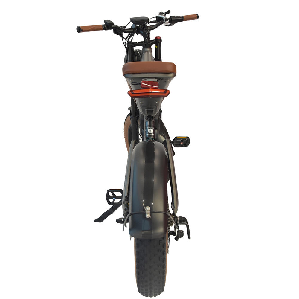 M20 Elektrofahrrad für Erwachsene 48V18.2AH Akku 20 Zoll Dickreifen 5/7