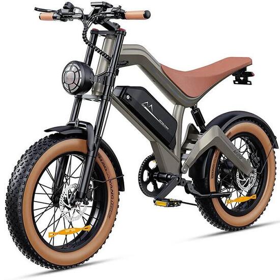M20 Volwassen elektrische fiets 48V18.2AH accu 20 inch dikke band