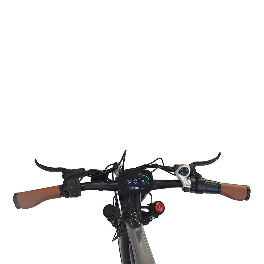M20 Elektrofahrrad für Erwachsene 48V18.2AH Akku 20 Zoll Dickreifen 6/7
