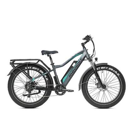 Robin Pro vélo électrique adulte, batterie 48V 20Ah