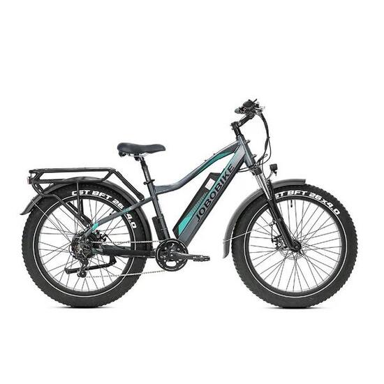 Robin Pro vélo électrique adulte, batterie 48V 20Ah