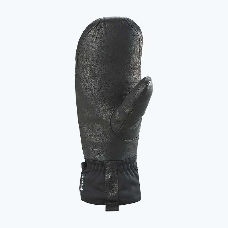 Mănuși de snowboard pentru bărbați Dakine Baron Gore-Tex Mitt