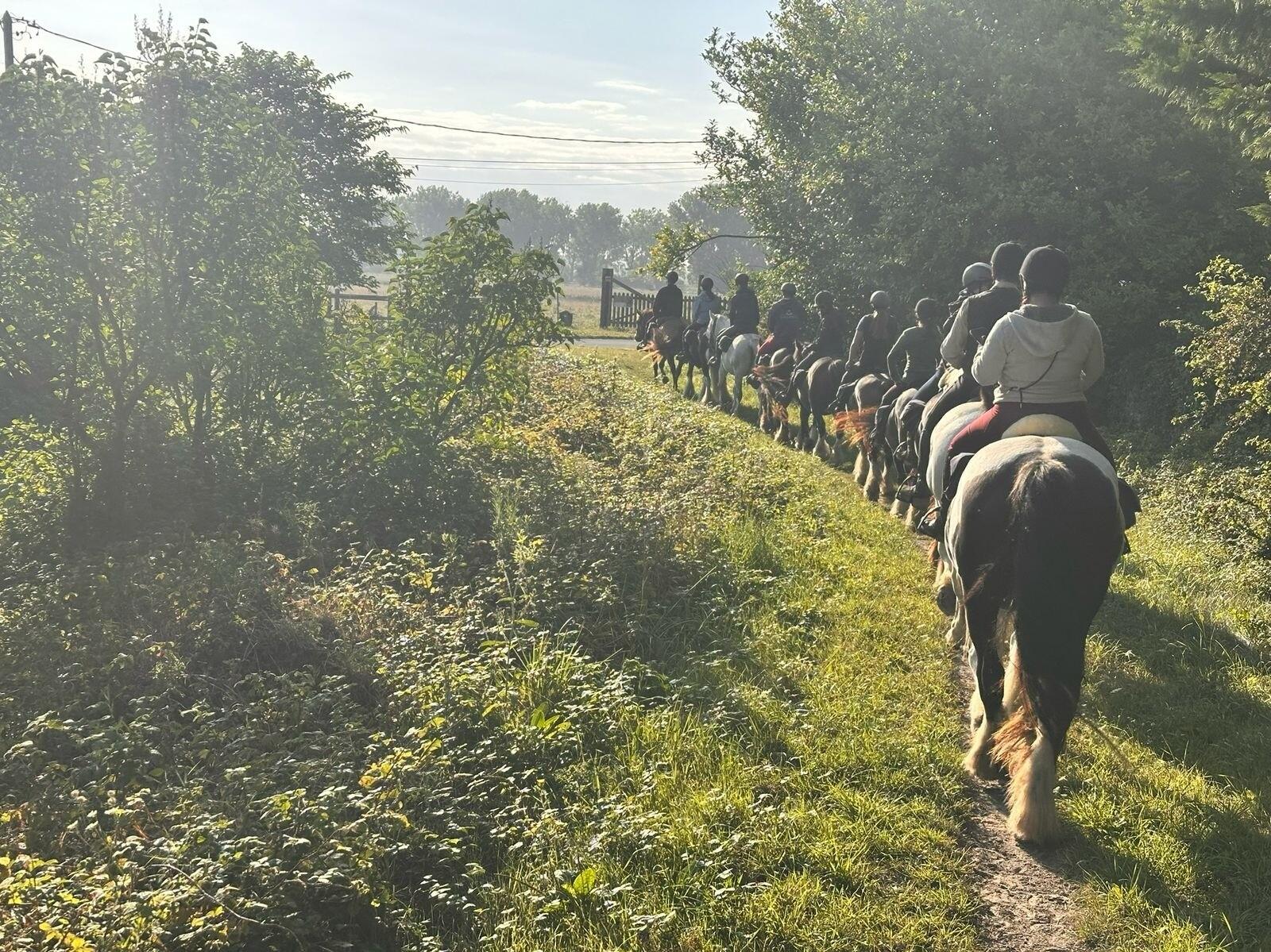 Séjour cheval et pilates nature en Bretagne 1/1