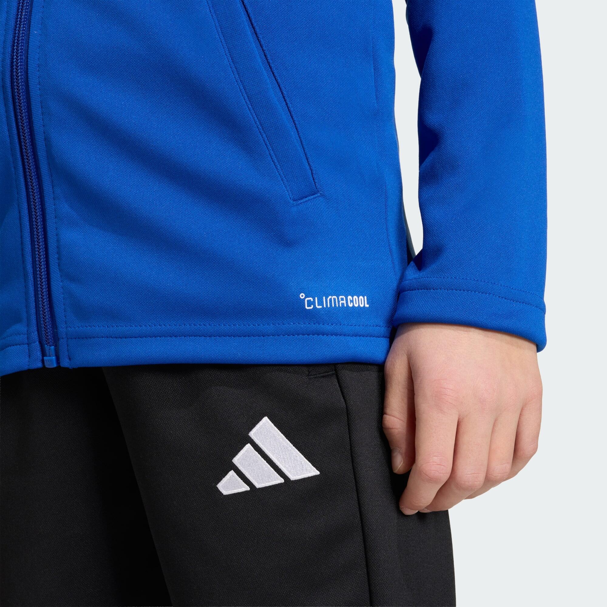 Chaqueta Entrada26 5/5