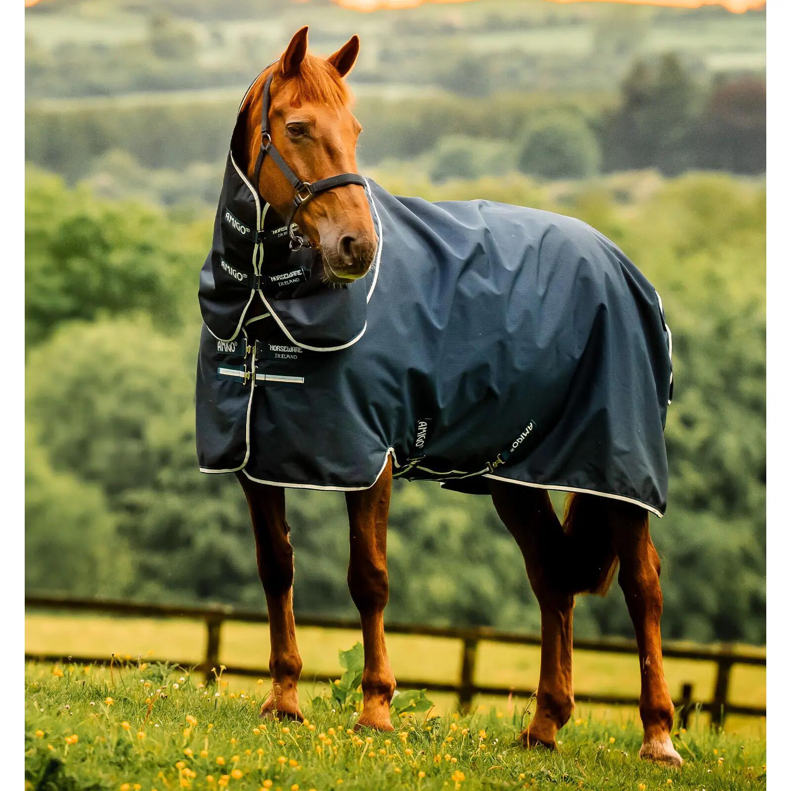 HORSEWARE IRELAND picture