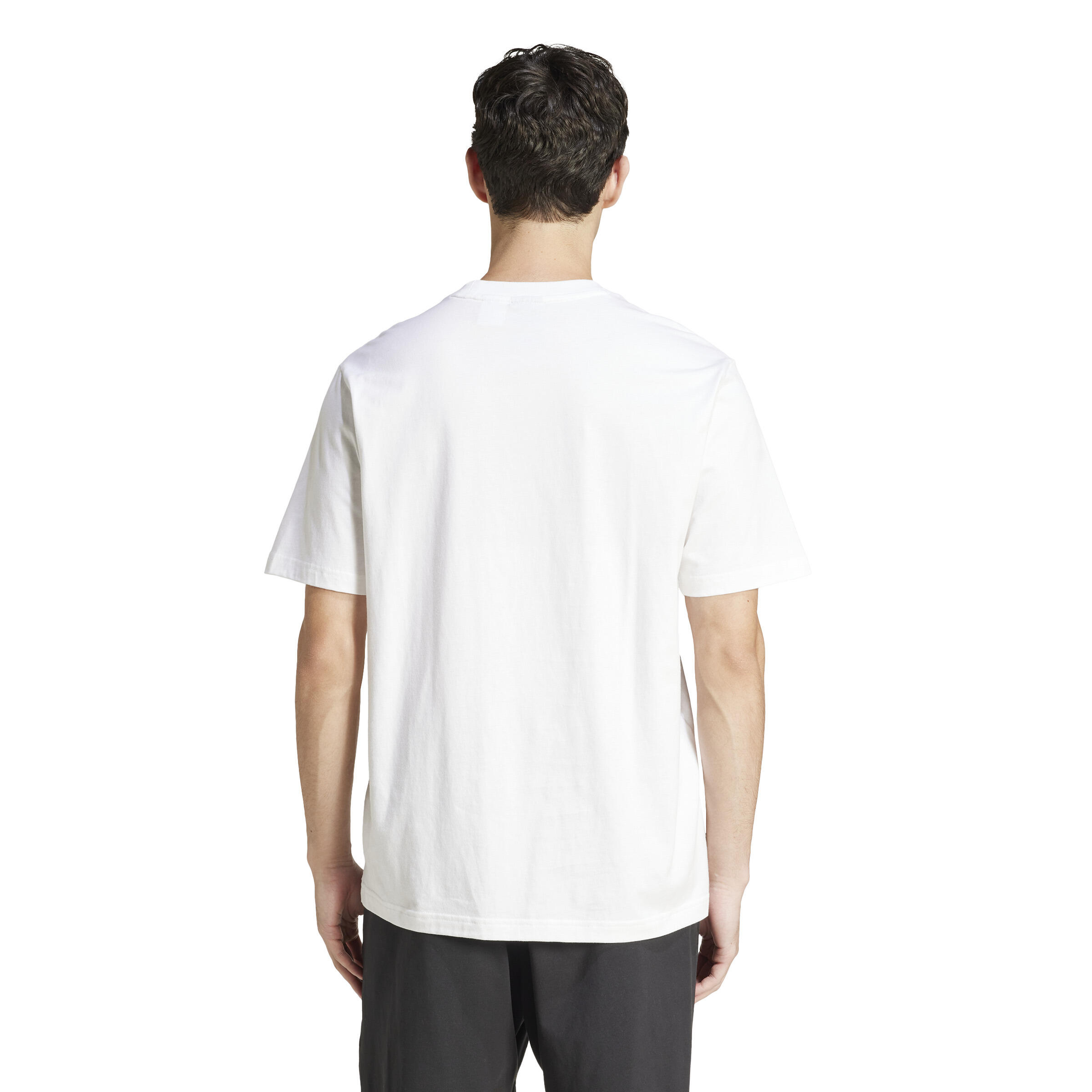 T-shirt em Jersey Simples Essentials 6/7