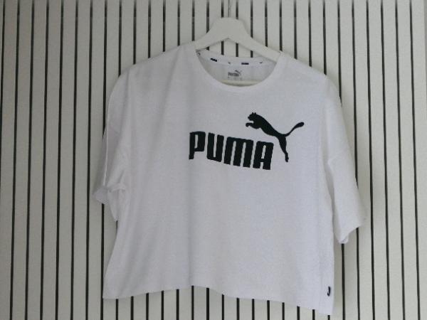 PUMA picture