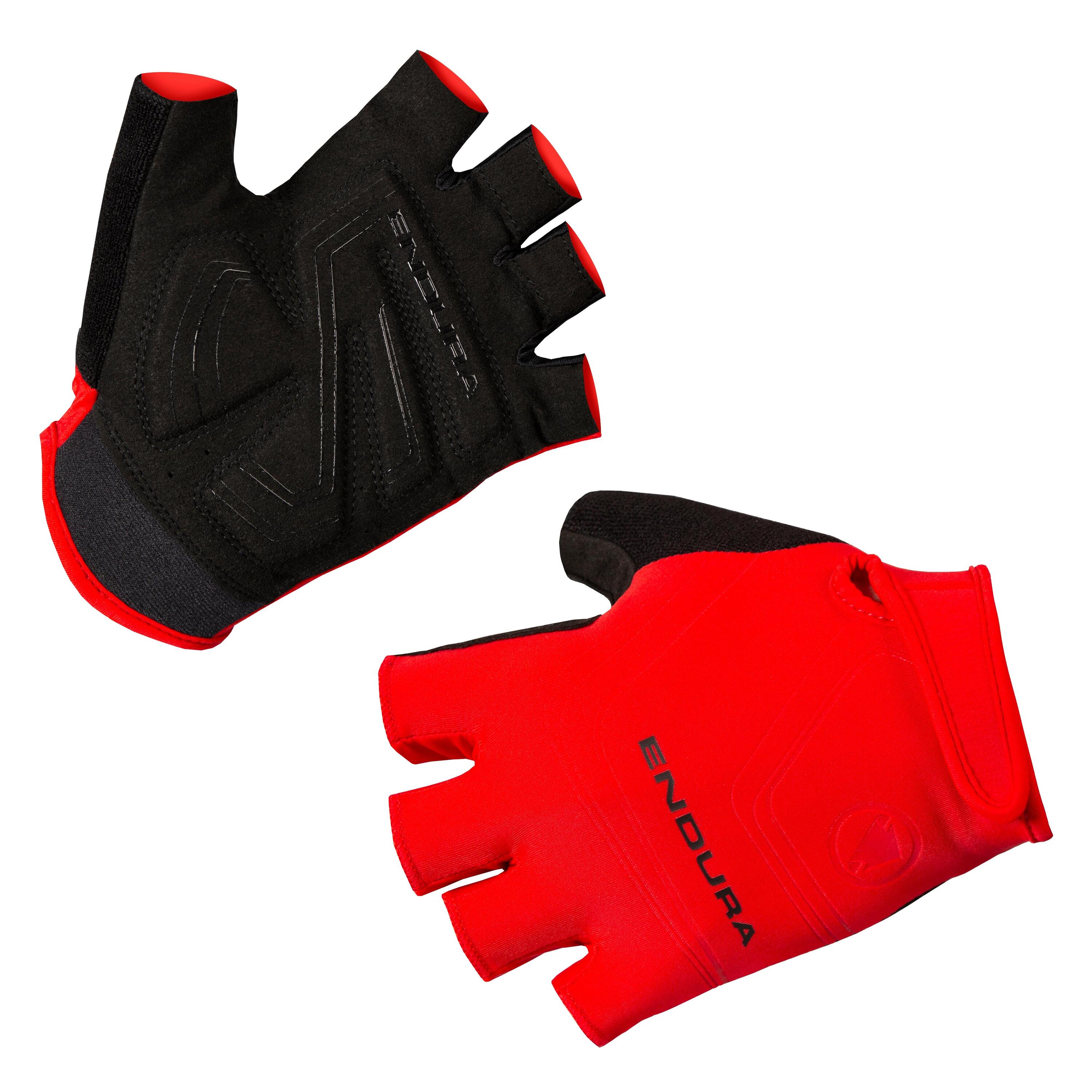 ENDURA picture