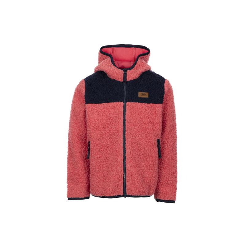 18e15b37-c02f-4311-b464-74a8f1fea5c4_c1c195