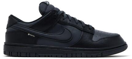 Nike Dunk Low Gore-Tex4