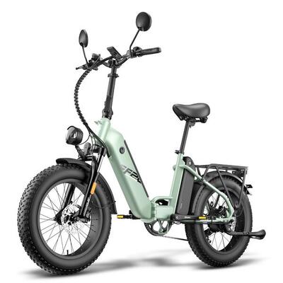 Bicicletta Elettrica FAFREES FF20 Polar 500W 48V13.4*2AH 20" Verde