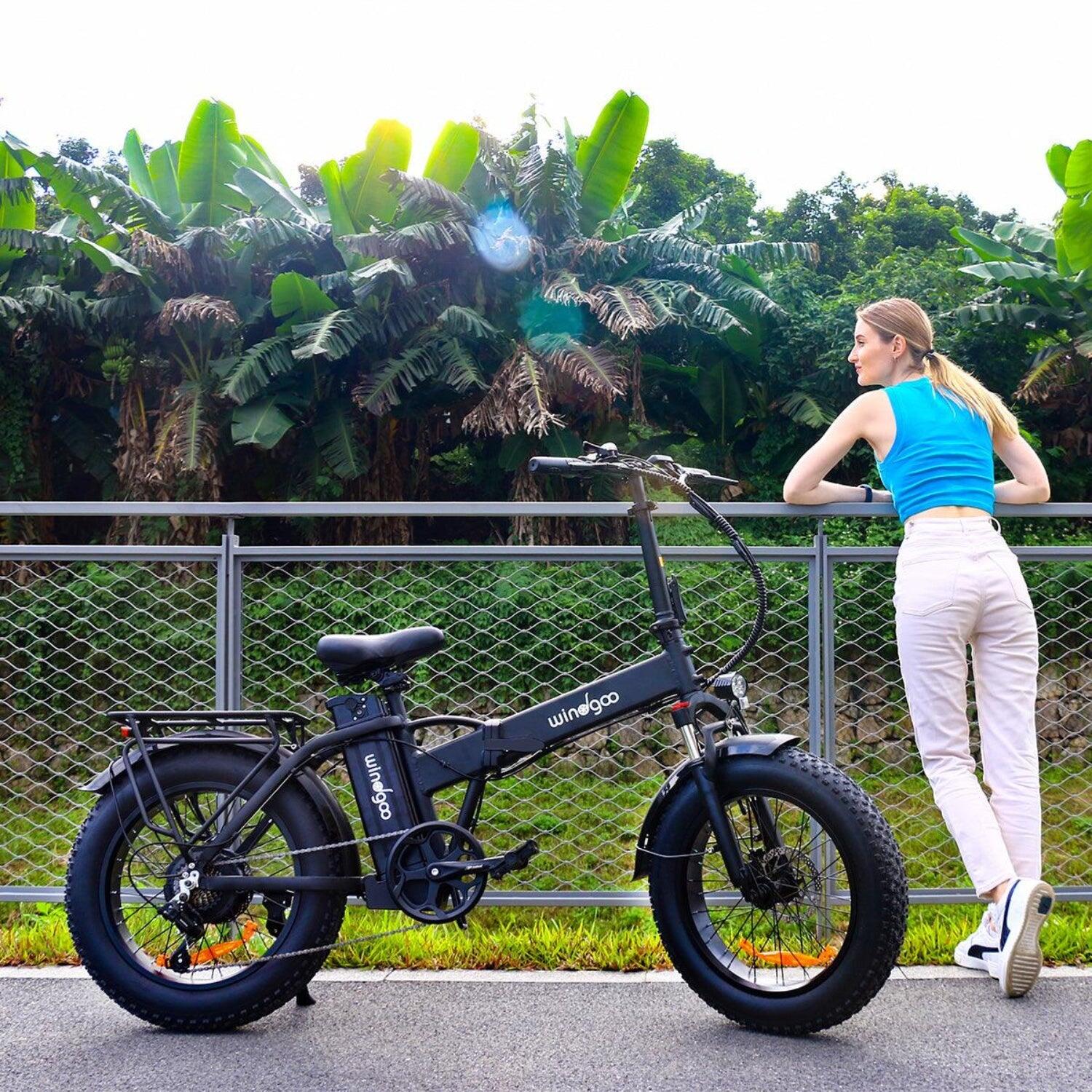 Windgoo F21 Pro Elektrische Fiets 250W 48V 12.5Ah Zwart 5/5