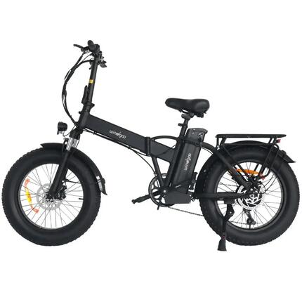 Windgoo F21 Pro Vélo Électrique 250W 48V 12.5Ah 20x4.0" Noir