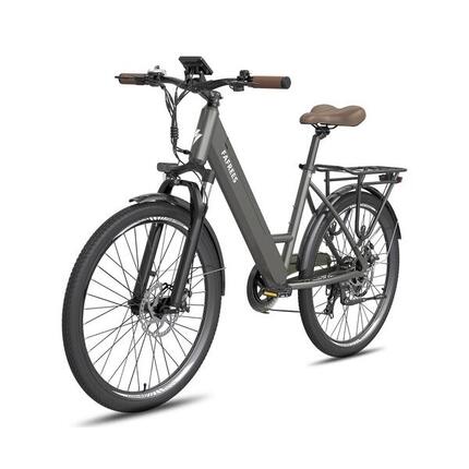 FAFREES F26 PRO Vélo Électrique 250W Batteries 36V15Ah Gris