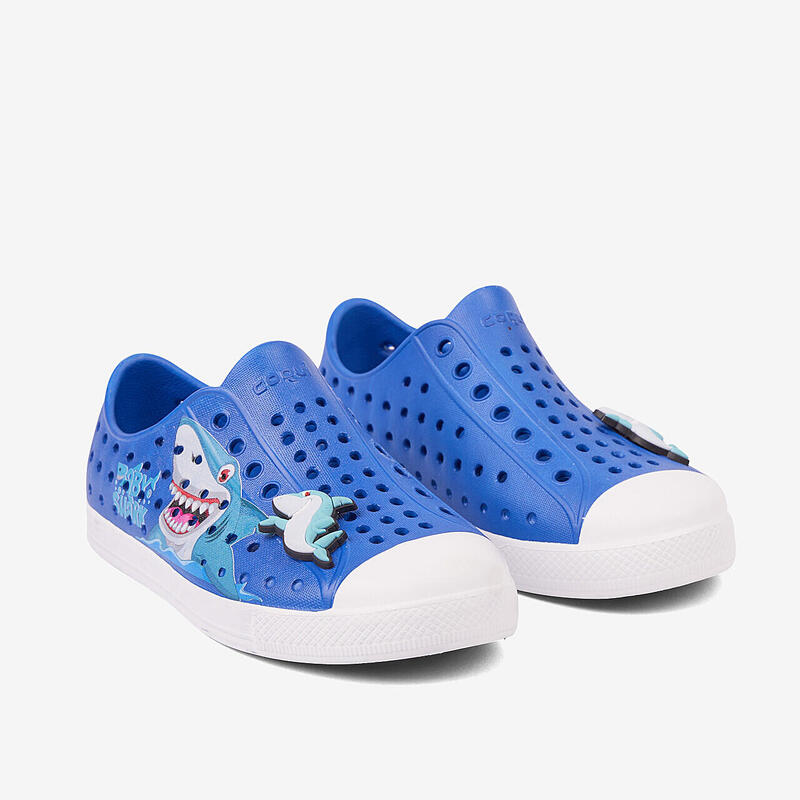 d531a48f-fa92-4003-b89f-5a43c6c72641_c5