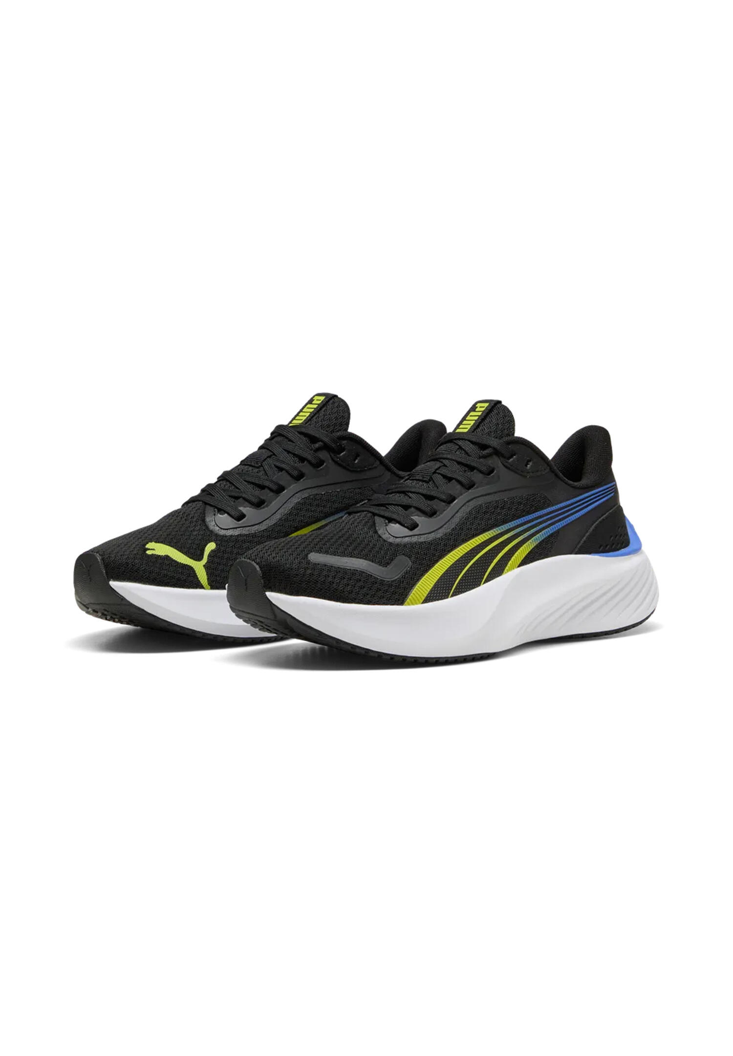 PUMA picture