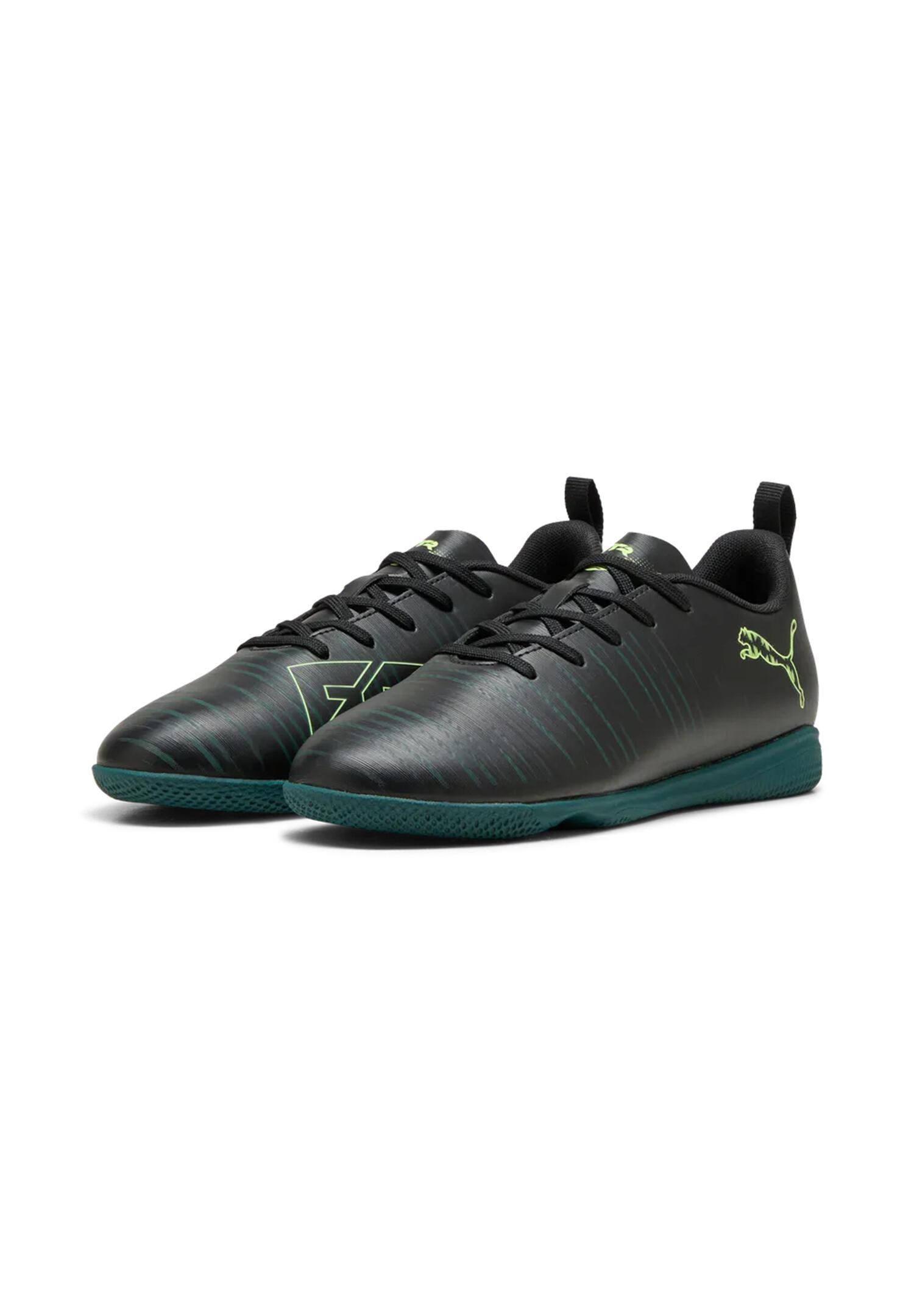 PUMA picture