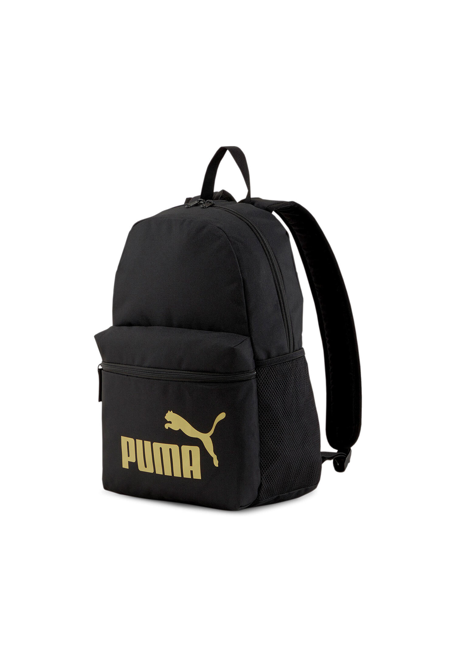 PUMA picture