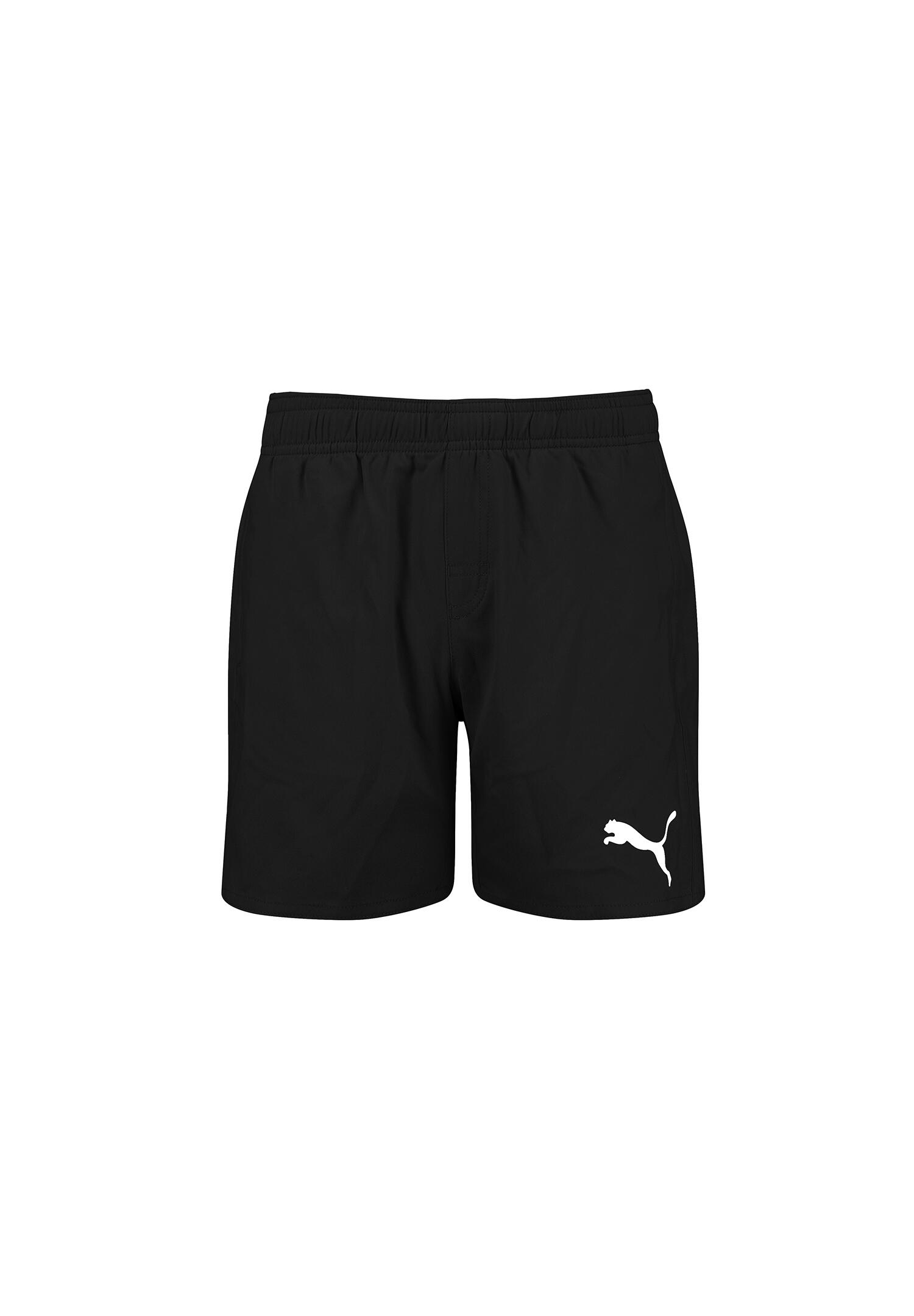 PUMA picture