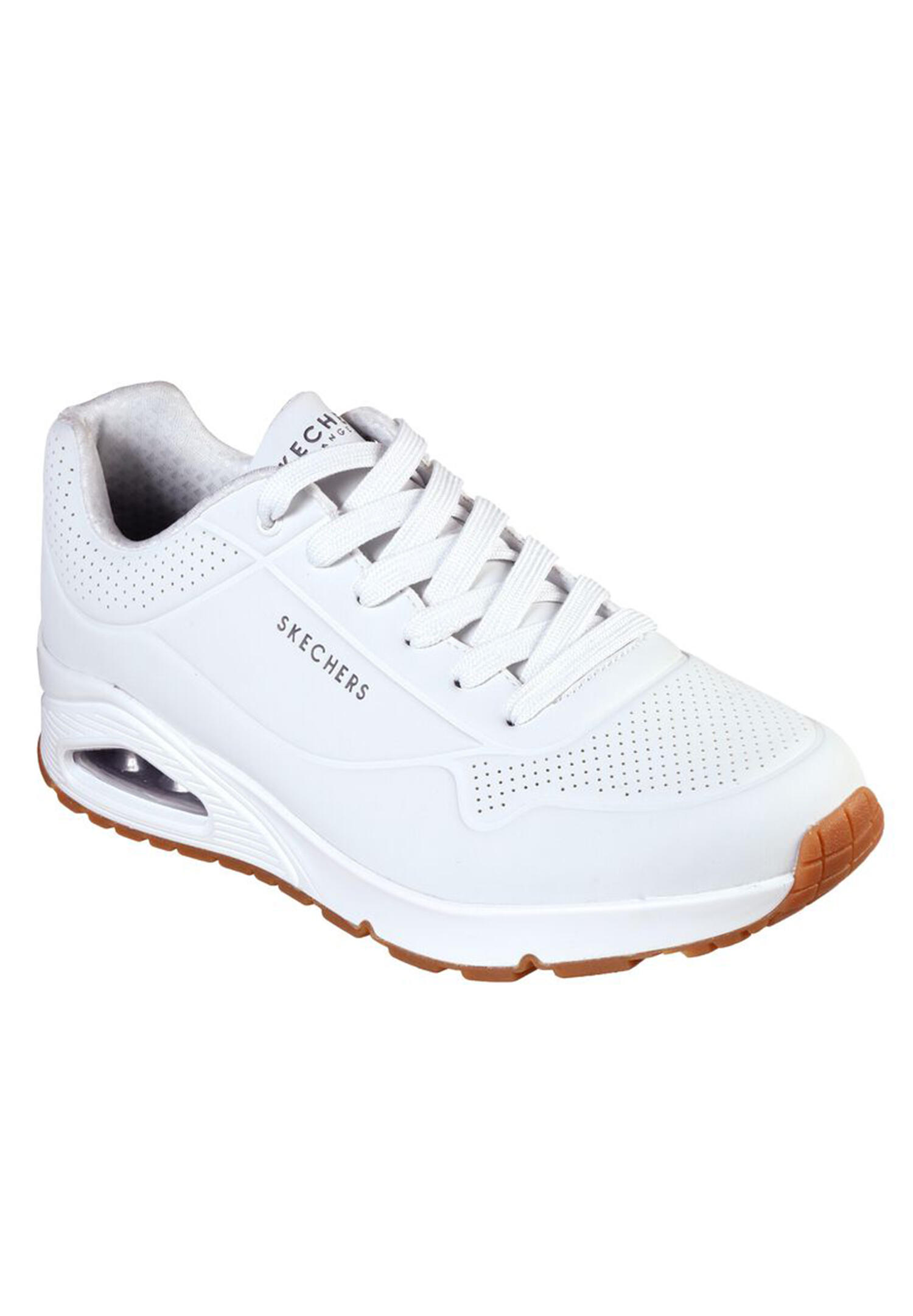 SKECHERS picture