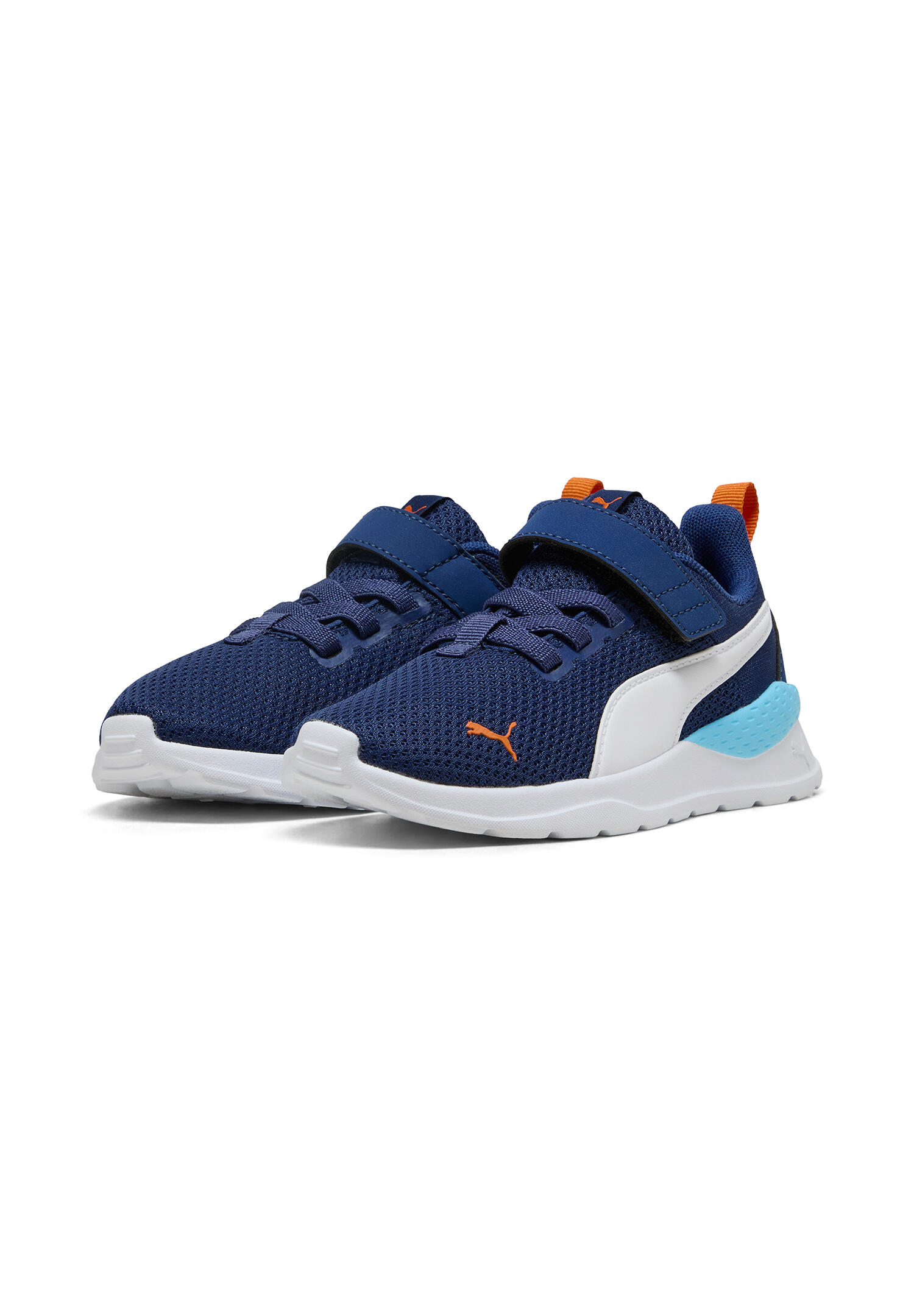 PUMA picture