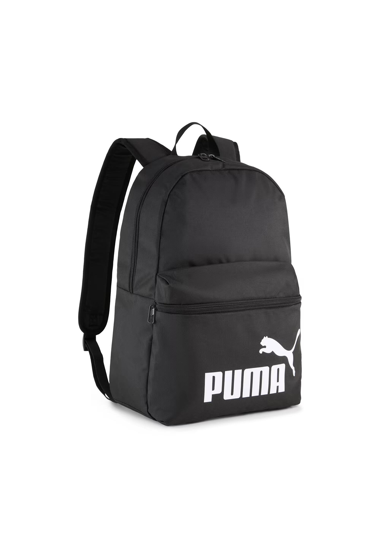 PUMA picture