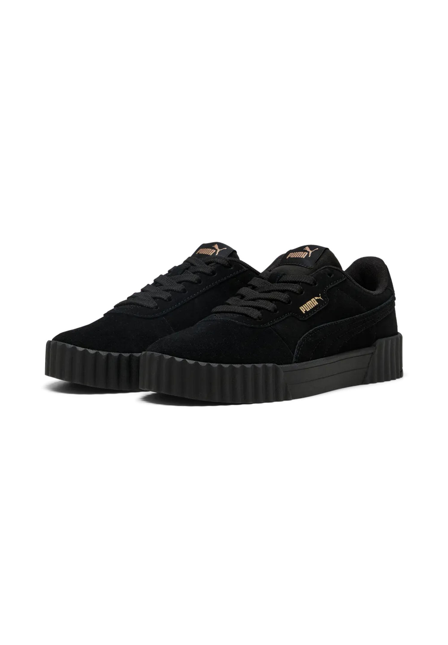 PUMA picture