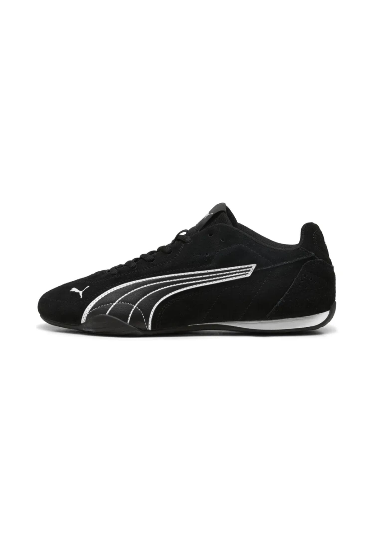 PUMA picture