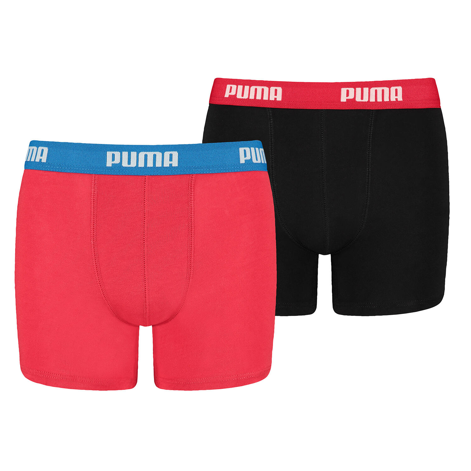 PUMA picture