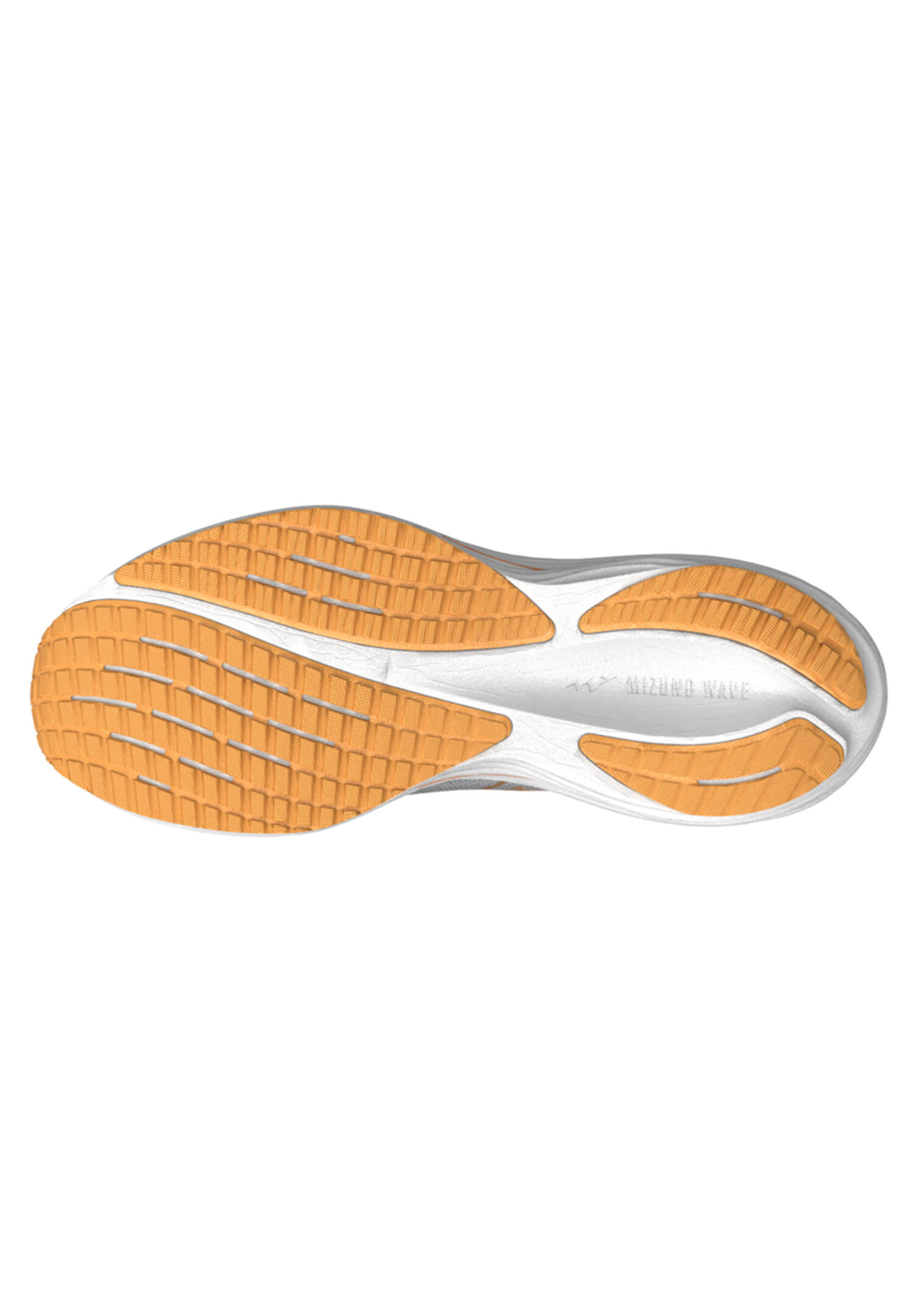 Chaussures de course pour hommes Mizuno Wave Rider 29 harbor 6/7