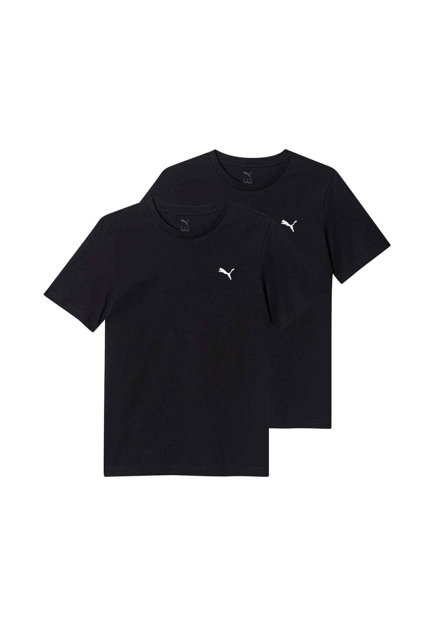 PUMA picture