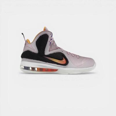 Nike lebron 9 king of la (2022)