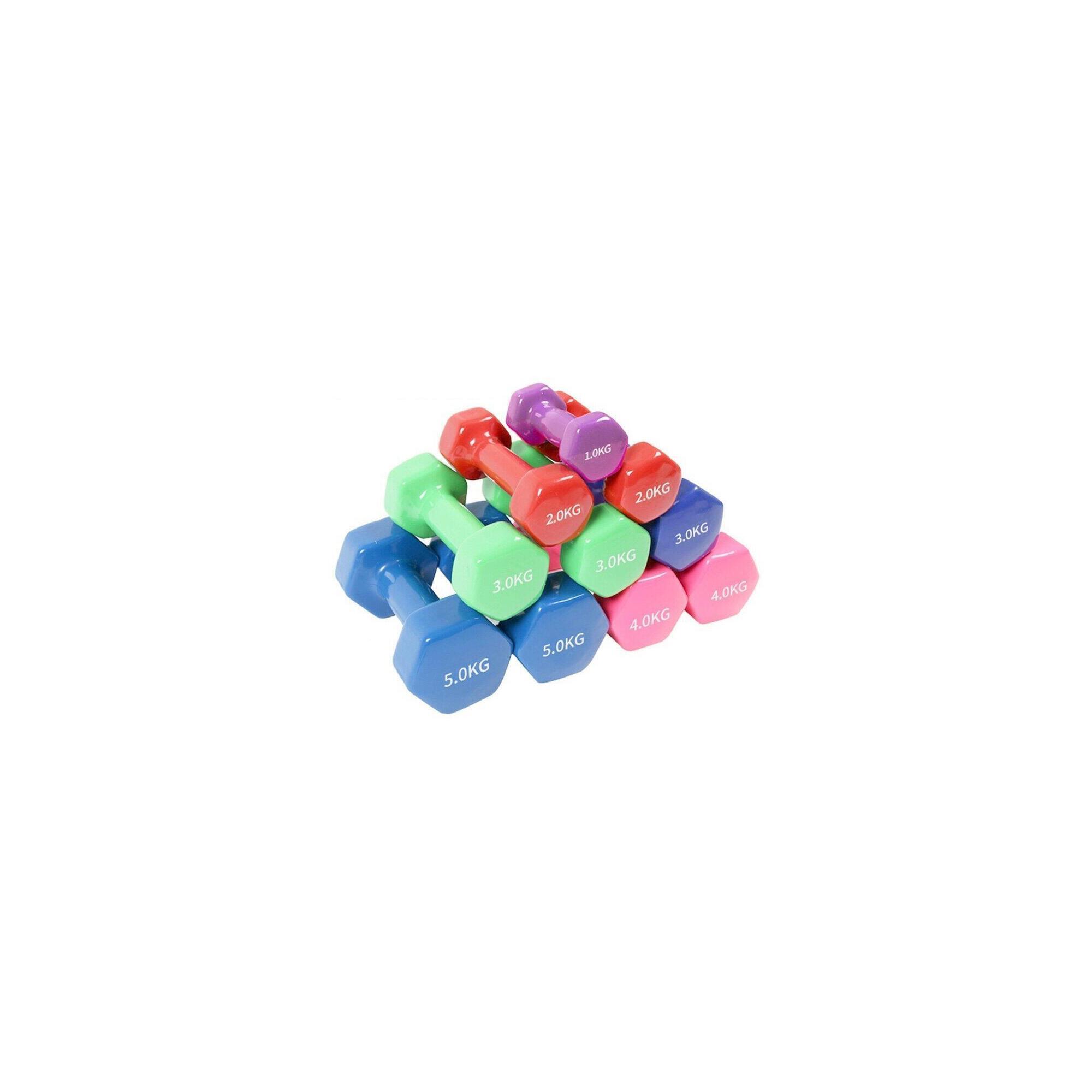 SEDCO Vinylová činka Sedco 2 kg