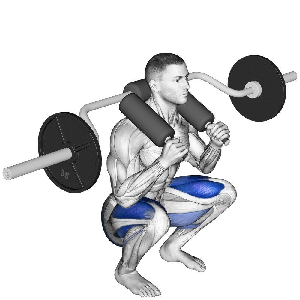 Olympijská dřepovací osa SEDCO OB002 Safety Squat bar 2/2